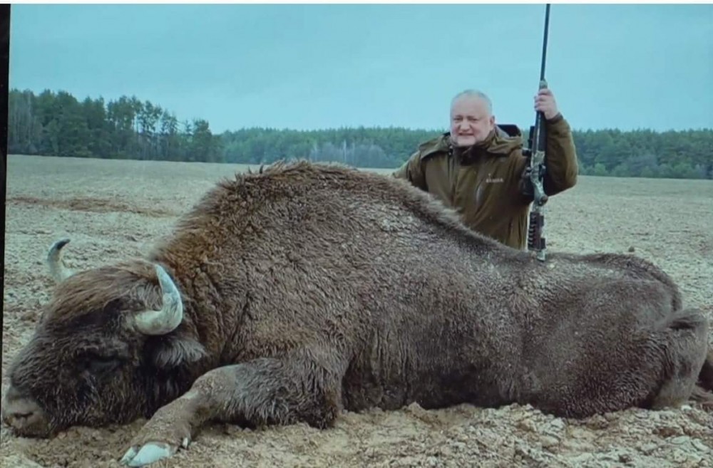 FOTO/VIDEO: Dodon s-a fotografiat alături de un zimbru mort, simbolul național al RM: „Oleacă snaiper”